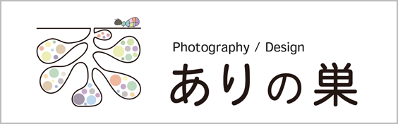 ありの巣